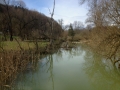 25_aare10_austrasse_sumpf_1304