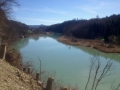 54_aare11_bremgartenwald_1404