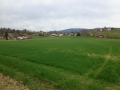 11_aare05_bannwil_1004