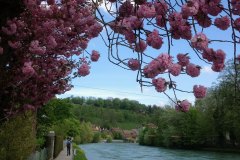 Etappe 12: Rund um Bern 