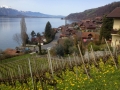 23_Merligen_Thunersee_300314