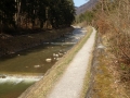 48_Neuhaus_Lombach_300314