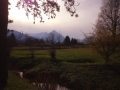 51_Weissenau_Niesen_300314
