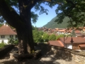 15_Brienzersee_Ringgenberg_080614