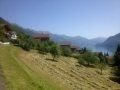 20_Brienzersee_Niederried_080614
