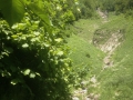 21_Brienzersee_Niederried_080614