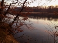 11_aare01_benznauwald_103