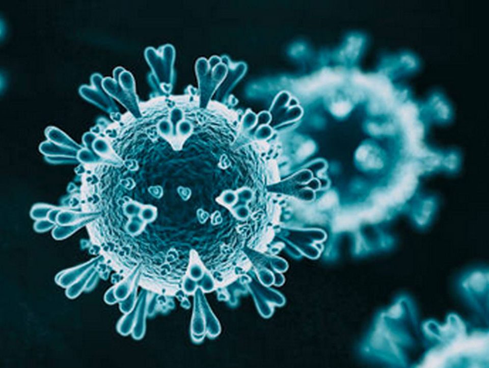 Corona Virus