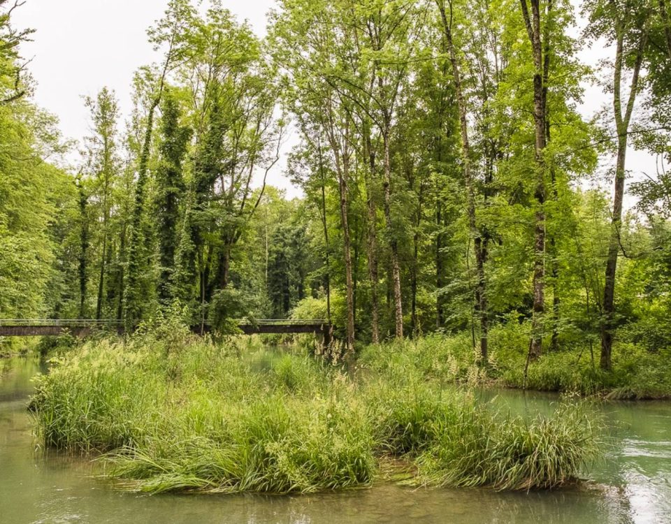 Ausflugstipp «Alte Aare» bei Aarburg